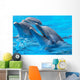 Happy Dolphins Wall Mural