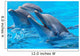 Happy Dolphins Wall Mural