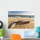 A Man On The Beach With His Windsurfing Board Wall Mural