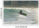 A Man On The Beach With His Windsurfing Board Wall Mural