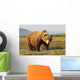 A Brown Grizzly Bear Wall Mural