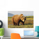 A Brown Grizzly Bear Wall Mural