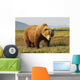 A Brown Grizzly Bear Wall Mural