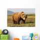 A Brown Grizzly Bear Wall Mural