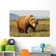 A Brown Grizzly Bear Wall Mural