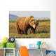 A Brown Grizzly Bear Wall Mural