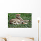 Close-up Beautiful Cheetah Acinonyclose-up Wall Mural
