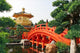 Gold Pavilion Chinese Garden