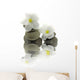Dcor Zen Pebble