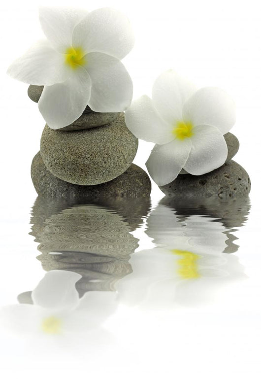 Dcor Zen Pebble