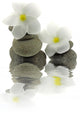 Dcor Zen Pebble