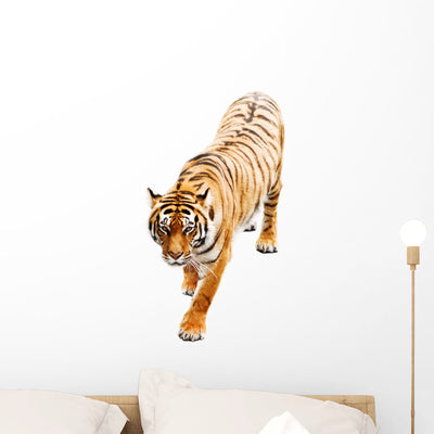 Tiger Wall Decal shown on a wall