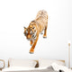 Tiger Wall Decal