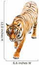 Tiger Wall Decal