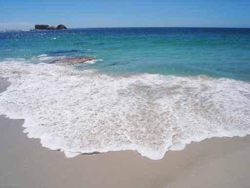 Shoreline Wall Decal