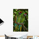 Couple Parrots Green 2 Wall Decal