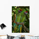 Couple Parrots Green 2 Wall Decal