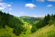 Mountains Wall Mural