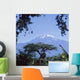 Mt Kilimanjaro,Moshi,Tanzania Wall Mural