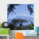 Mt Kilimanjaro,Moshi,Tanzania Wall Mural