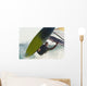 A Windsurfer Wall Mural