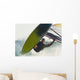 A Windsurfer Wall Mural