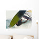A Windsurfer Wall Mural