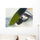 A Windsurfer Wall Mural