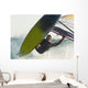A Windsurfer Wall Mural