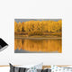 Autumn Aspens Reflected In Snake River Wall Mural