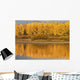 Autumn Aspens Reflected In Snake River Wall Mural