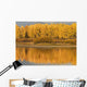 Autumn Aspens Reflected In Snake River Wall Mural
