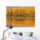 Autumn Aspens Reflected In Snake River Wall Mural