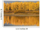 Autumn Aspens Reflected In Snake River Wall Mural
