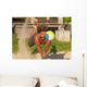 A Man Diving For A Beach Ball Wall Mural