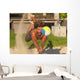 A Man Diving For A Beach Ball Wall Mural