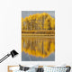 Aspens Reflected In A Pool In The Snake River In Autumn Wall Mural