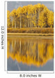 Aspens Reflected In A Pool In The Snake River In Autumn Wall Mural