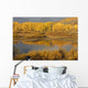 Autumn Foliage Surrounds A Pool In The Snake River Wall Mural