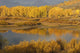 Autumn Foliage Surrounds A Pool In The Snake River Wall Mural