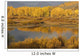 Autumn Foliage Surrounds A Pool In The Snake River Wall Mural