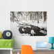 Winter Snow Along Still Creek In Mt Hood National Forest Wall Mural