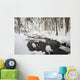 Winter Snow Along Still Creek In Mt Hood National Forest Wall Mural