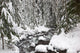 Winter Snow Along Still Creek In Mt Hood National Forest Wall Mural
