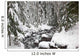 Winter Snow Along Still Creek In Mt Hood National Forest Wall Mural