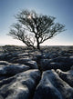 Limestone Pavement At Twisleton Scars Wall Mural