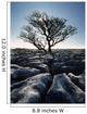 Limestone Pavement At Twisleton Scars Wall Mural