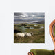 Irish Marsh Horses Wall Mural