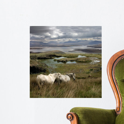 Irish Marsh Horses Wall Mural