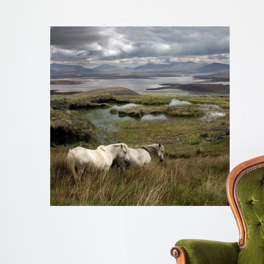 Irish Marsh Horses Wall Mural